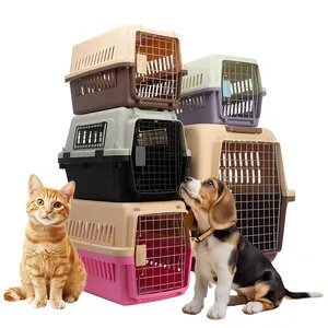 Airline Approved Pet Travel Carrier - Portable Handle, Multiple Colors